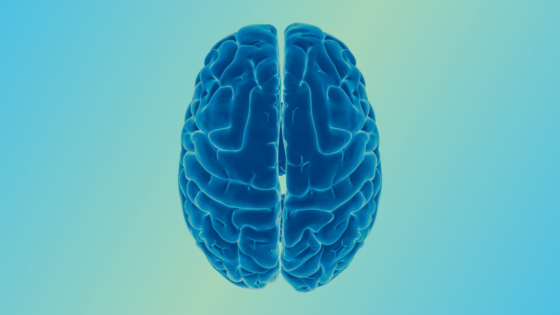 A blue photo-illustration of a brain, highlighting its crevices in light blue