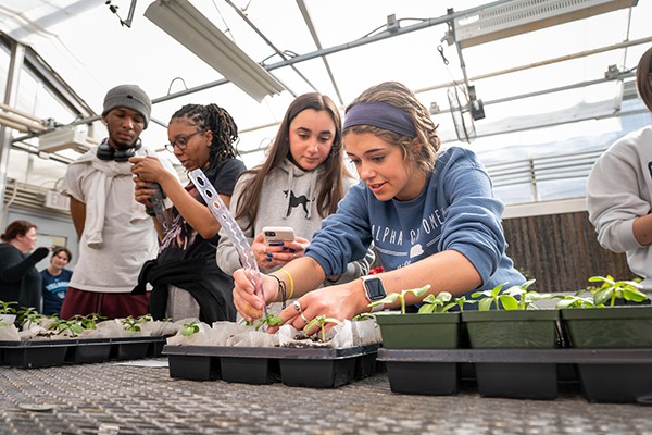 Strategic Initiative for Climate, Justice and Sustainability students working together on plant research in a greenhouse