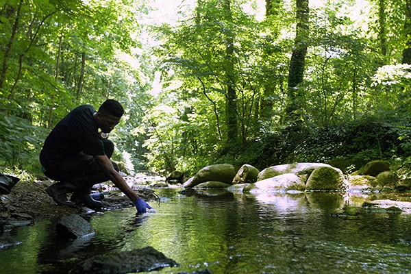 Student collects a sample in a stream. Student collects a sample in a stream.