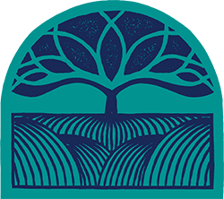 Beautiful stream running through a forest. Beautiful stream running through a forest.