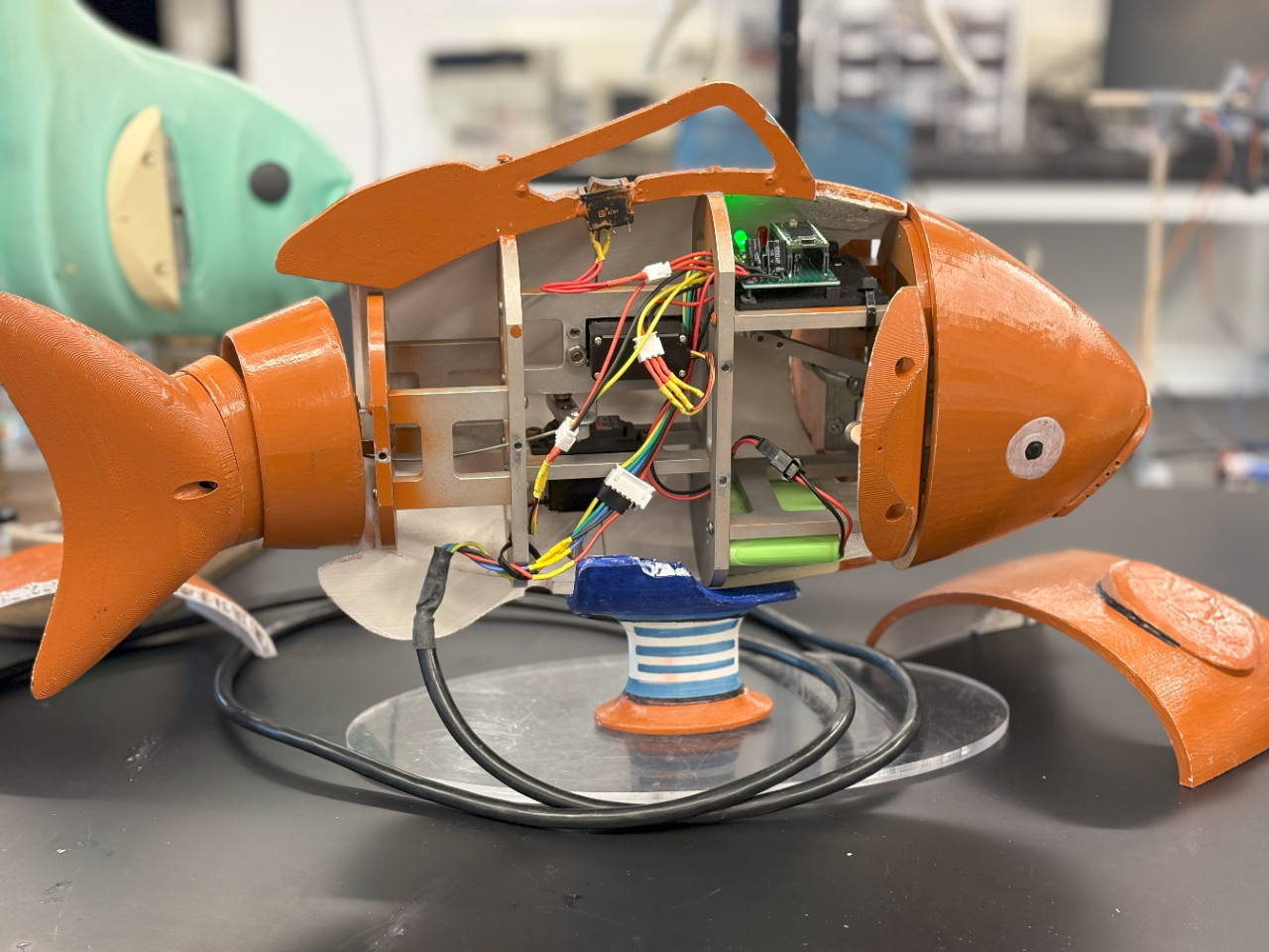 The goldfish robot's gills open and close in sync with its tail.