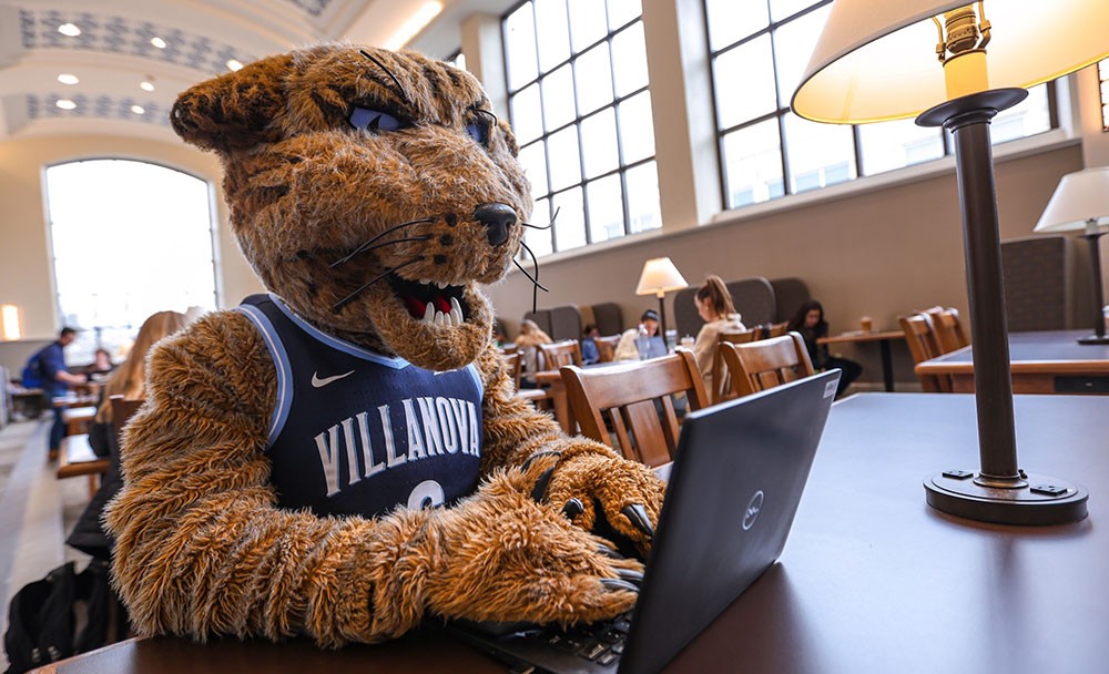 Will D Cat in the library working on a laptop