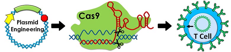 Gene Therapy Gene Therapy