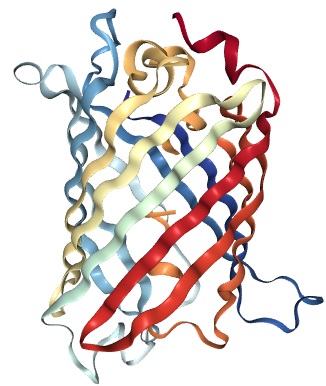 BioEngineering Lab Techniques