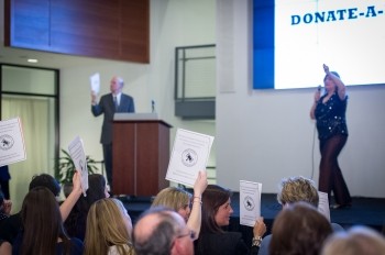 PIFP Public Interest Auction