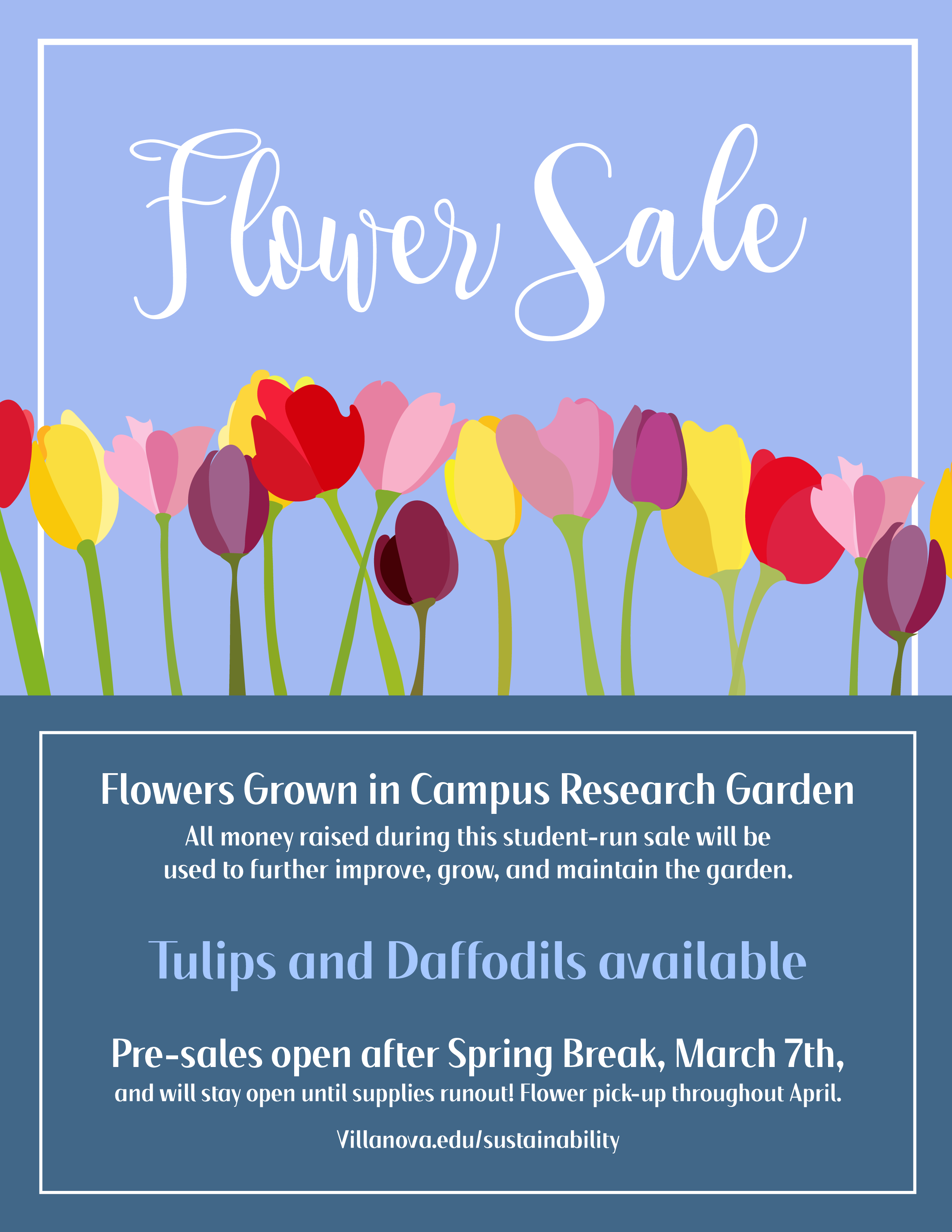 Spring Flower Sale Spring Flower Sale