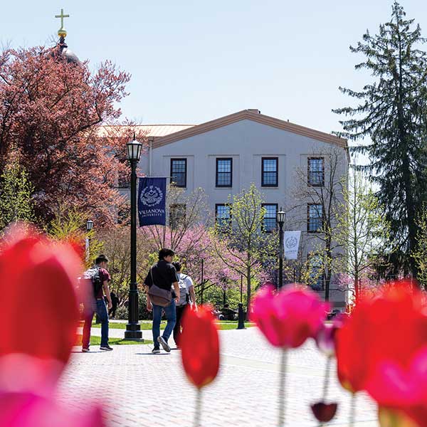 Close-up of tulips with a campus building in the background.